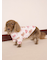 【CAT&DOG】フェイバリット柄プルオーバー