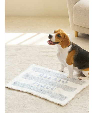 【CAT&DOG】ジェラートメランジ2ボーダーブランケット