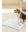 【CAT&DOG】ジェラートメランジ2ボーダーブランケット