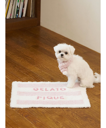 【CAT&DOG】ジェラートメランジ2ボーダーブランケット