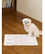 【CAT&DOG】ジェラートメランジ2ボーダーブランケット