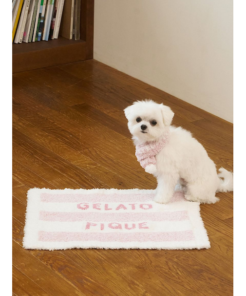 【CAT&DOG】ジェラートメランジ2ボーダーブランケット