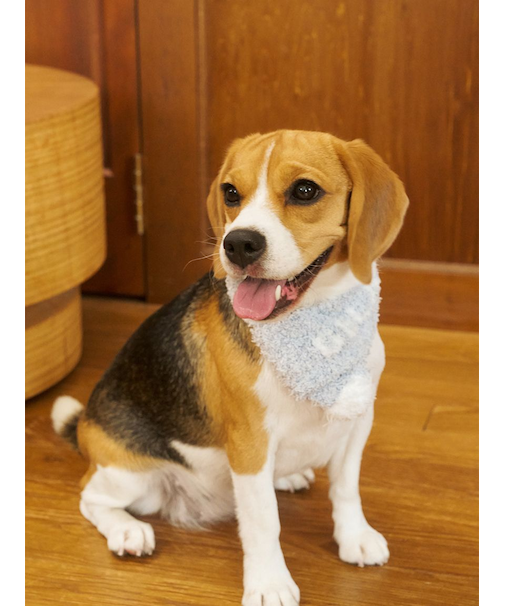 【CAT&DOG】ジェラートメランジマフラー