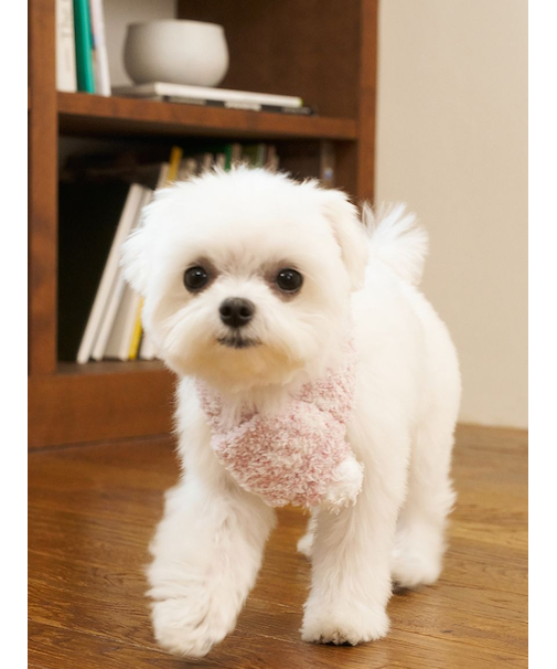 【CAT&DOG】ジェラートメランジマフラー