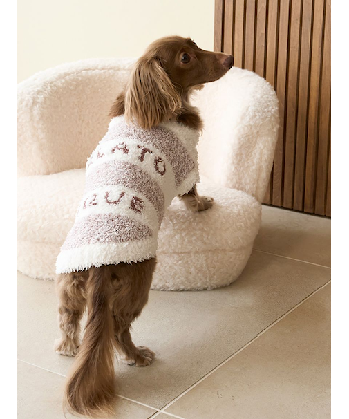 【CAT&DOG】ジェラートメランジ2ボーダープルオーバー