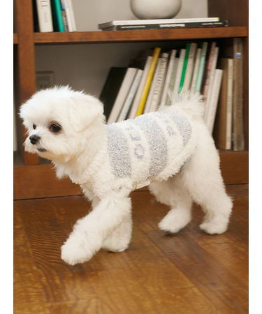 【CAT&DOG】ジェラートメランジ2ボーダープルオーバー