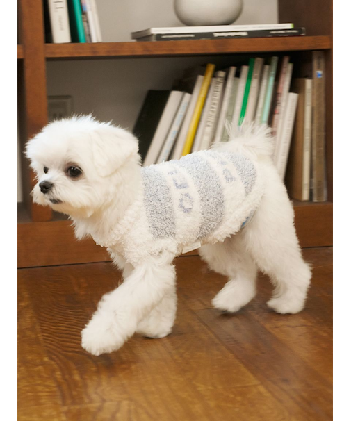 【CAT&DOG】ジェラートメランジ2ボーダープルオーバー