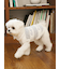 【CAT&DOG】ジェラートメランジ2ボーダープルオーバー