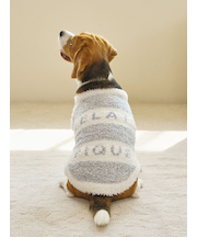 【CAT&DOG】ラージサイズジェラートメランジ2ボーダープルオーバー