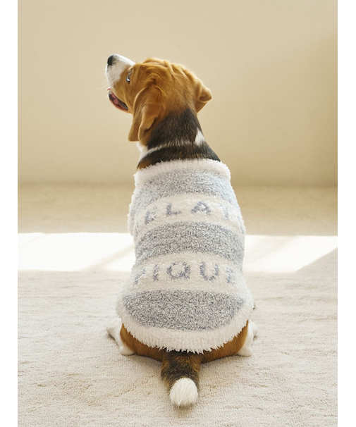 【CAT&DOG】ラージサイズジェラートメランジ2ボーダープルオーバー