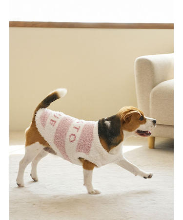 【CAT&DOG】ラージサイズジェラートメランジ2ボーダープルオーバー