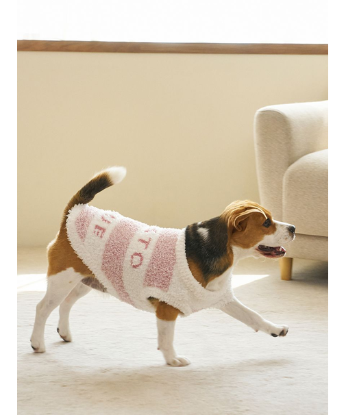 【CAT&DOG】ラージサイズジェラートメランジ2ボーダープルオーバー