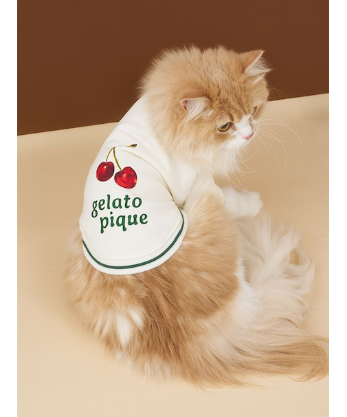 【CAT&DOG】チェリー柄裏毛プルオーバー