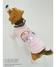 【PEANUTS】【CAT&DOG】ラージサイズ オリジナルアート 裏毛プルオーバー