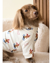 【HOLIDAY】【CAT&DOG】スキーベア柄カットソー