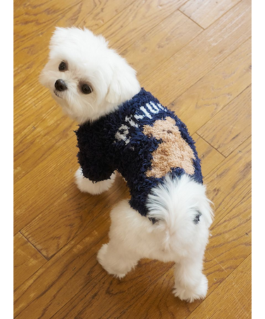 【HOLIDAY】【CAT&DOG】ジェラートスノーベアジャガードプルオーバー