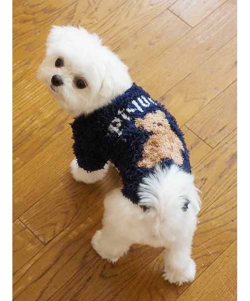 【HOLIDAY】【CAT&DOG】ジェラートスノーベアジャガードプルオーバー