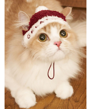 【HOLIDAY】【CAT&DOG】ベビモコサンタニットキャップ