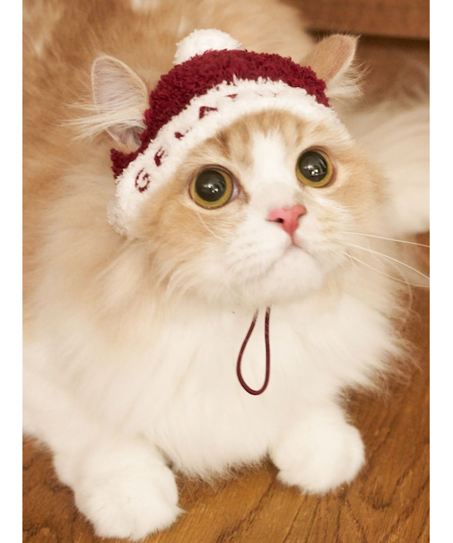 【HOLIDAY】【CAT&DOG】ベビモコサンタニットキャップ