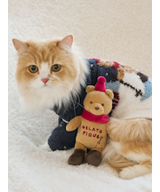 【HOLIDAY】【CAT&DOG】スキーベアトイ