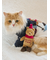 【HOLIDAY】【CAT&DOG】スキーベアトイ