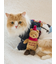 【HOLIDAY】【CAT&DOG】スキーベアトイ