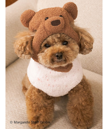 【Steiff】【CAT&DOG】ニットキャップ