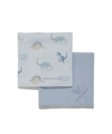 【入園入学グッズ】【限定カラーあり】ランチクロス2枚セット