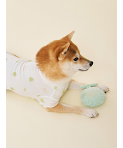 【CAT&DOG】フルーツトイ