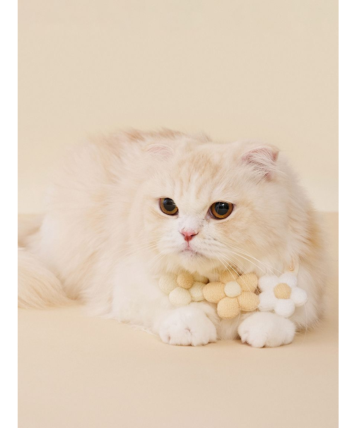 【CAT&DOG】スムーズィーフラワーモチーフチョーカー