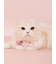 【CAT&DOG】スムーズィーフラワーモチーフチョーカー