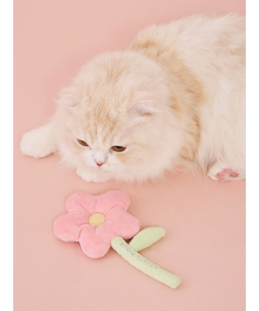 【CAT&DOG】スプリングモチーフトイ