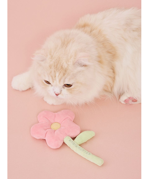 【CAT&DOG】スプリングモチーフトイ