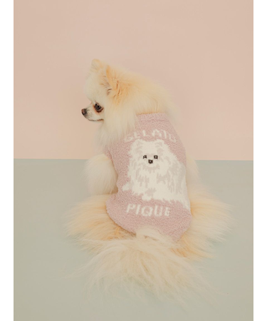 【CAT&DOG】ポメラニアジャガードプルーバー
