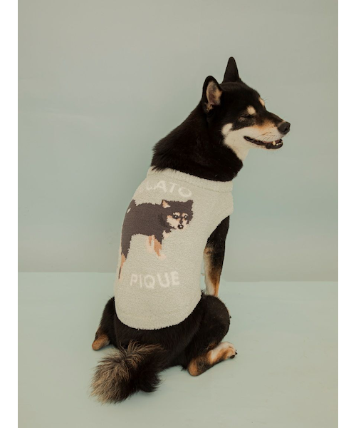 CAT&DOG】ベビモコシュナウザージャガードプルオーバー｜ジェラート