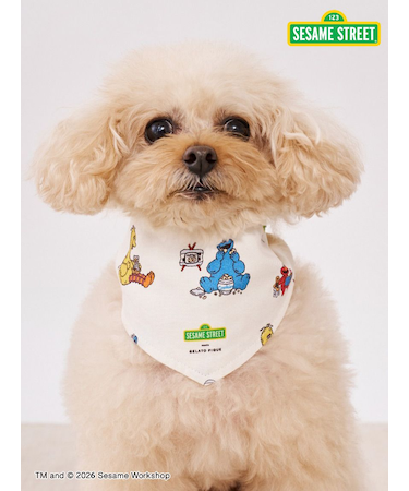 【SESAME STREET】【CAT＆DOG】バンダナ