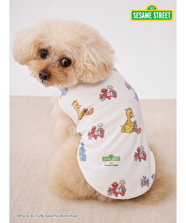 【SESAME STREET】【CAT＆DOG】カットソープルオーバー