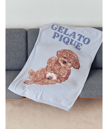 ドッグジャガードブランケット