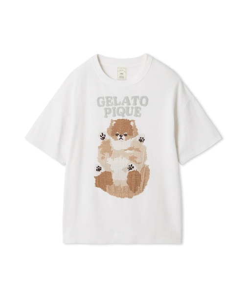 【ONLINE限定カラーあり】ドッグジャガードプルオーバー