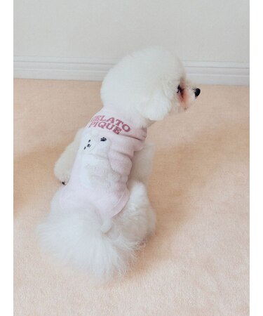 【CAT&DOG】ドッグジャガードプルオーバー