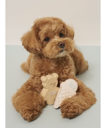 【CAT&DOG】アイスクリーム&ベア ラテックストイセット BOX付き