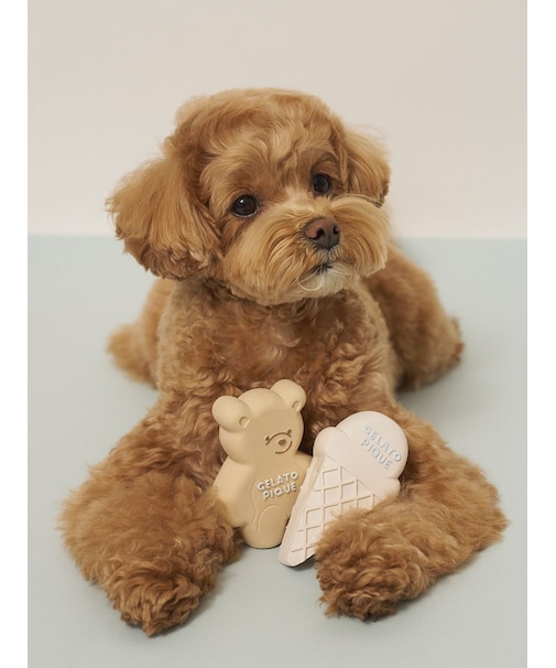 【CAT&DOG】アイスクリーム&ベア ラテックストイセット BOX付き
