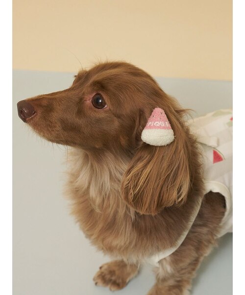 CAT&DOG】サマーモチーフヘアゴム｜ジェラートピケの通販｜&mall