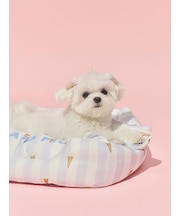 【CAT&DOG】【接触冷感】【抗菌防臭】 CoolingベッドS