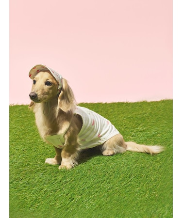 【CAT&DOG】ソフトサンバイザー