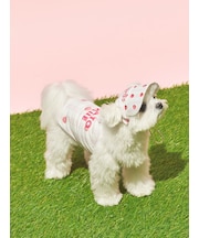 【CAT&DOG】ソフトサンバイザー