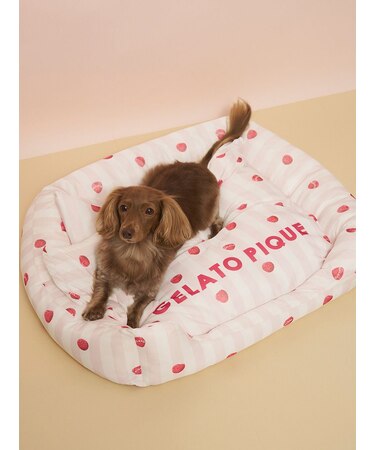 【CAT&DOG】【接触冷感】 CoolingベッドM