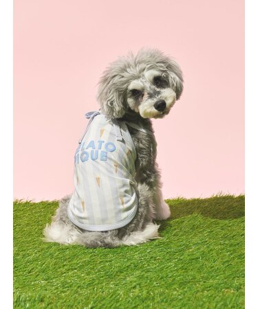 【CAT&DOG】【接触冷感】 ストライプ柄Coolingプルオーバー