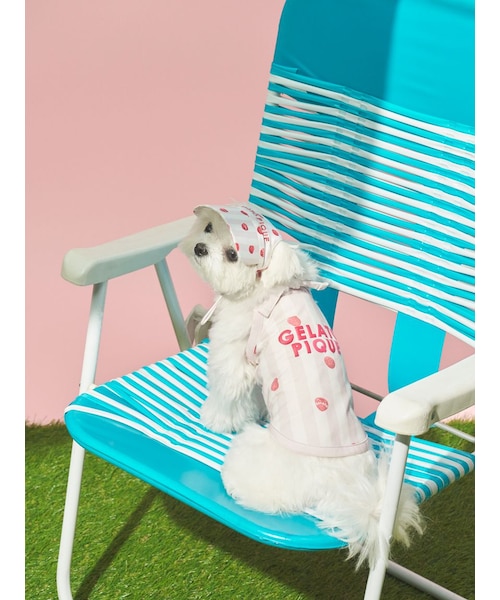CAT&DOG】【接触冷感】 ストライプ柄Coolingプルオーバー｜ジェラート