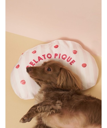 【CAT&DOG】【接触冷感】【抗菌防臭】 Coolingピロー